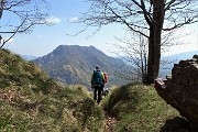 103 Ed ora il bosco si dirada e il panorama si apre un po'... 